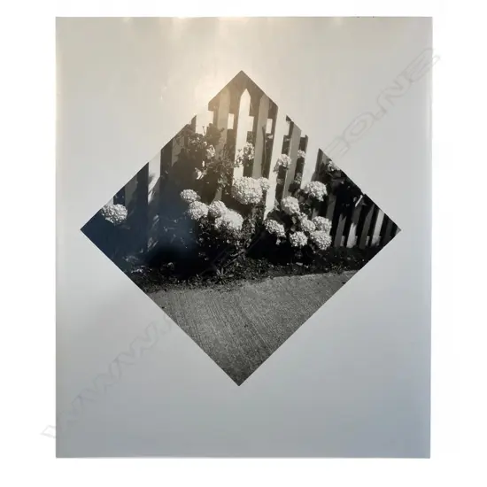 Clive Stone (1950-) Hydrangeas’, 1976/1977